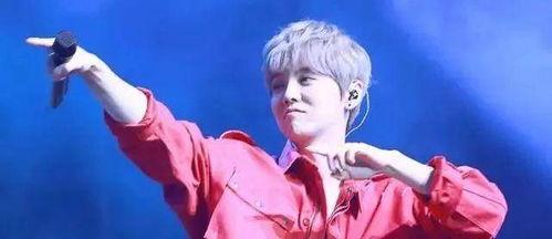 娱乐吃瓜猫鹿晗恋情官宣,娱乐圈新恋情引爆热议